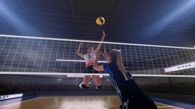 Profesyonel kadın voleybol oyuncuları iş başında.