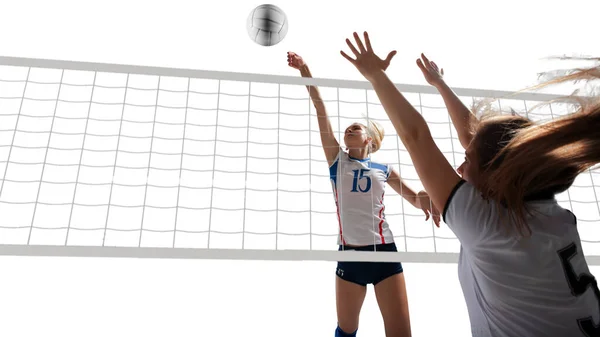 Profi Volleyballerinnen Aktion Auf Weißem Untergrund — Stockfoto