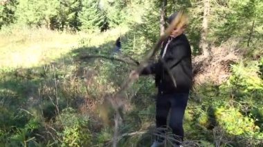 Ormandaki o adam da dağlarda bir ateş için odun güneşli bir günde dağlarda toplar