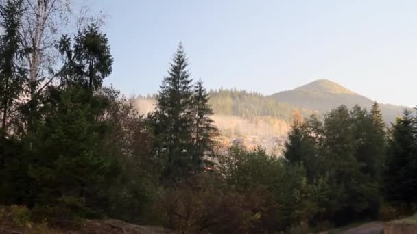 Όμορφη Θέα Από Πίσω Από Φθινοπωρινά Δέντρα Στο Βουνό Στην — Αρχείο Βίντεο
