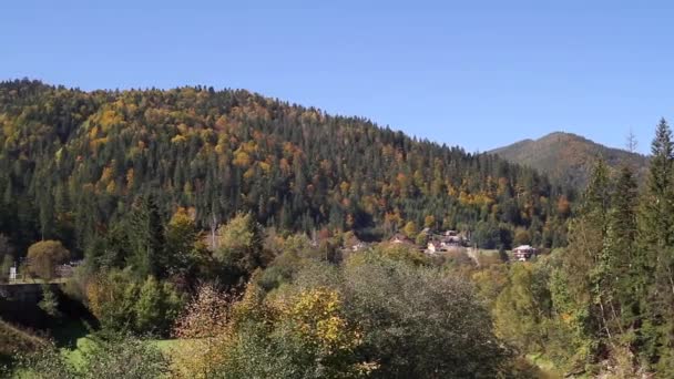 Herfst Bos Een Zonnige Dag Bergachtig Terrein — Stockvideo