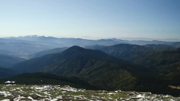 Karpaty Widok Góry Howerla Wiatr Trawa Kołysać Malowniczy Krajobraz Podgórski — Wideo stockowe