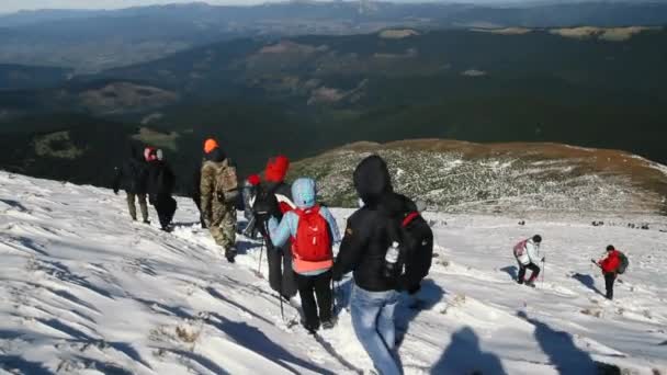 観光客のグループは 雪に覆われた道路に沿って山に行きます Goverla — ストック動画
