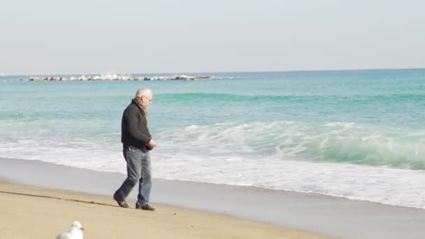 Uomo anziano che cammina lungo la spiaggia vicino al mare e nutre i gabbiani — Video Stock