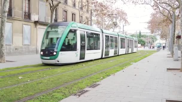 Nízkopodlažní tramvaj jede na krásné kolejnice a zelený trávník — Stock video