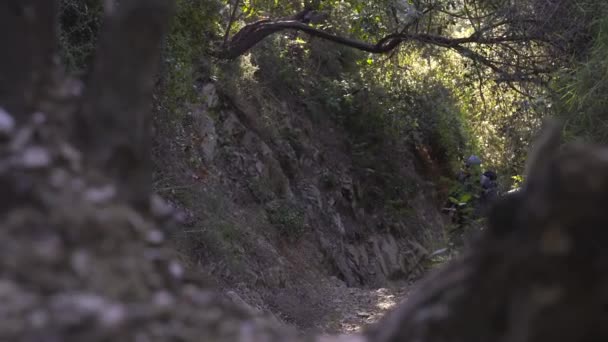 男が森で急な狭い岩だらけの道を登ってください — ストック動画