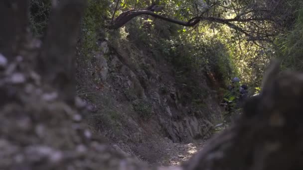 Ragazzo Arrampica Ripida Stradina Rocciosa Nella Foresta — Video Stock