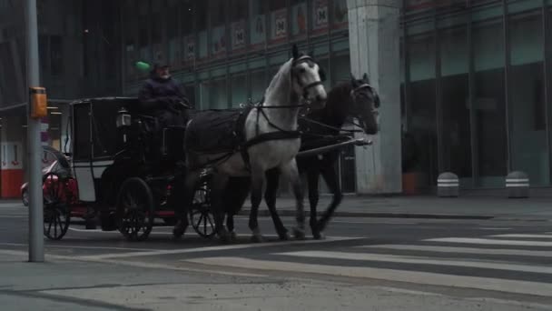 Wózek turystyczny z końmi jeździ po ulicach Wiednia Wideo Stockowe