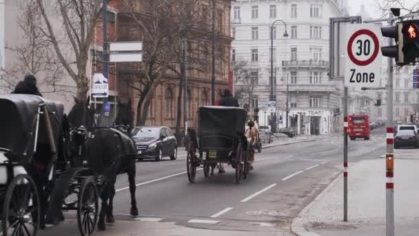 Wózek turystyczny z końmi jeździ po ulicach Wiednia — Wideo stockowe