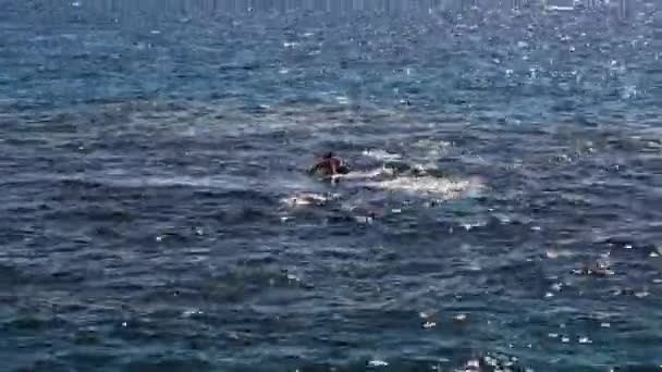 Man met een instructeur duiken na het duiken in de zee — Stockvideo