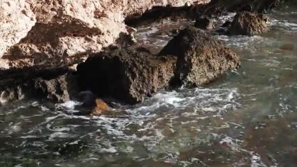 Le onde battono contro le rocce sulla spiaggia — Video Stock