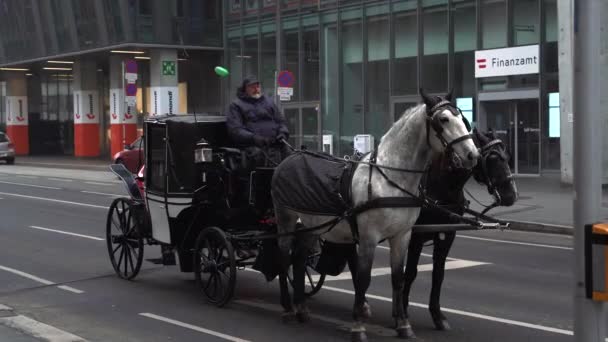 Wózek turystyczny z końmi jeździ po ulicach Wiednia Filmiki Stockowe bez tantiem