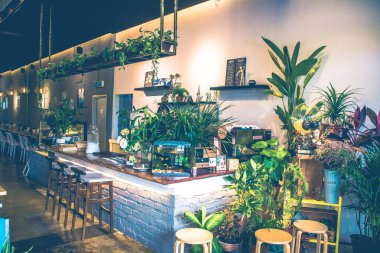 güzel Cafe masa oturma koltukları ve bitkiler ile