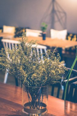 güzel Cafe masa oturma koltukları ve bitkiler ile