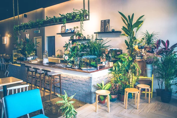 テーブル席の椅子や植物の美しいカフェ — ストック写真