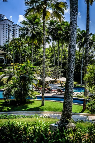 Bella piscina all'aperto circondata da alberi di cocco tropicali, sedie a sdraio, ombrelloni cabana — Foto Stock