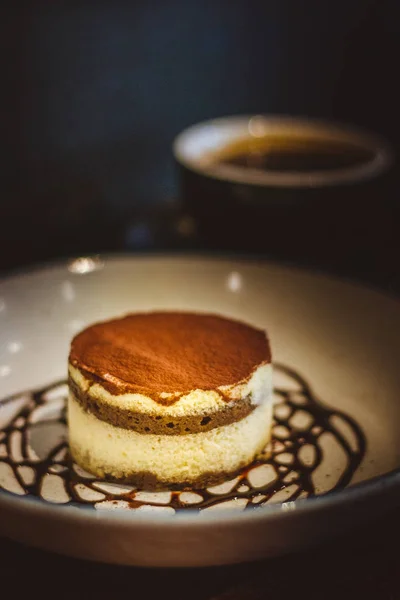 Tiramisu Un régal riche mêlant les saveurs audacieuses du cacao et de l'espresso avec du fromage mascarpone et des biscuits ladyfinger — Photo