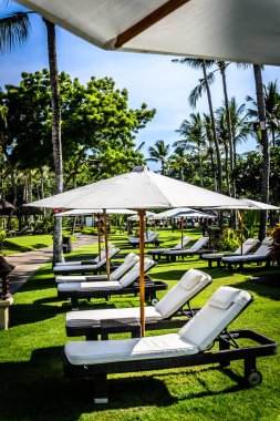 Havuz ve sahil kenarındaki şezlonglar tropikal iklimde güneşli şemsiyeli yataklar. 