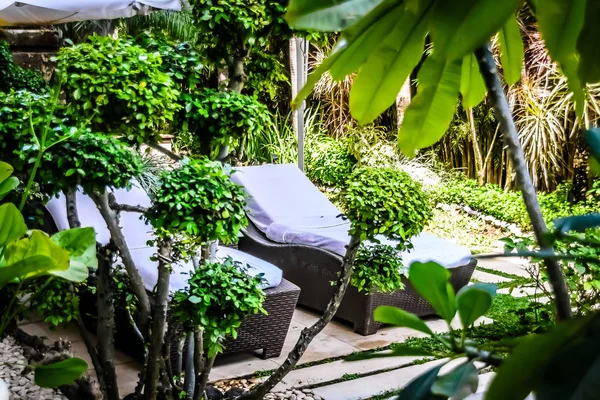 Poolside and beach side lounge chairs ad lounge beds with sun umbrellas in a tropical climate — ストック写真