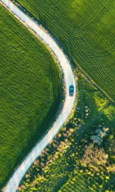Yol ve yeşil alan üzerinde araç.