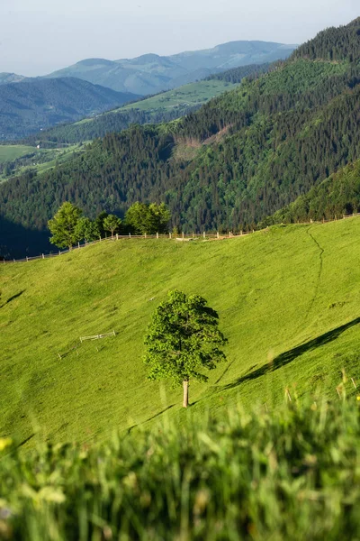 Bergen Het Moment Van Ochtend Prachtige Natuurlijke Landschap Aan Zomertijd — Stockfoto