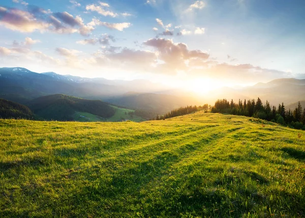 Zachód Słońca Górskiej Dolinie Piękny Krajobraz Naturalny Okresie Letnim — Zdjęcie stockowe