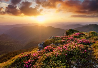 Dağlar çiçek blossom ve gündoğumu sırasında. Yaz saati itibariyle güzel doğal peyzaj