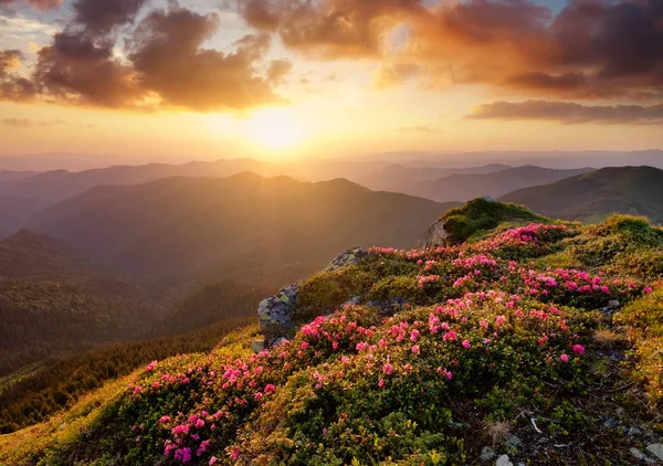 Dağlar çiçek blossom ve gündoğumu sırasında. Yaz saati itibariyle güzel doğal peyzaj