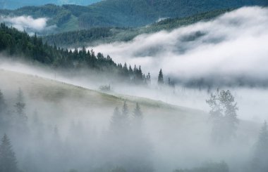 Sisteki dağ Vadisi. Gündoğumu sırasında yaz zaman güzel doğal peyzaj