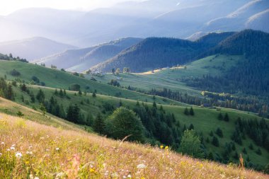 Sisteki dağ Vadisi. Gündoğumu sırasında yaz zaman güzel doğal peyzaj