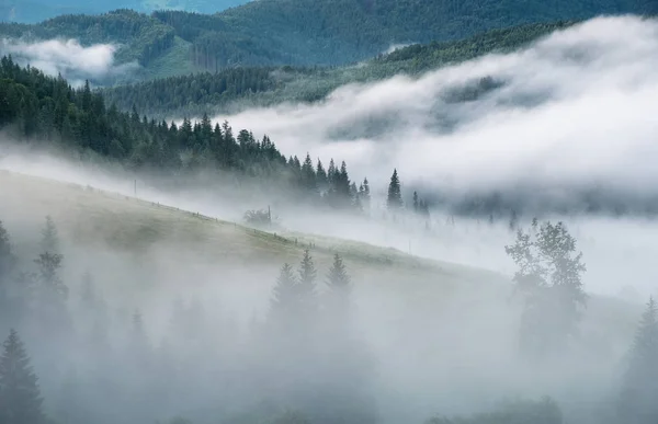 Horské Údolí Mlze Krásné Přírodní Krajiny Letní Době Během Východu — Stock fotografie