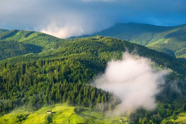 Bergdal Mist Prachtige Natuurlijke Landschap Aan Zomertijd Tijdens Zonsopgang — Stockfoto