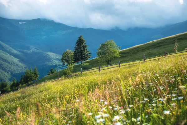 Valle Montagna Mattino Bellissimo Paesaggio Naturale Durante Estate Durante Alba — Foto Stock