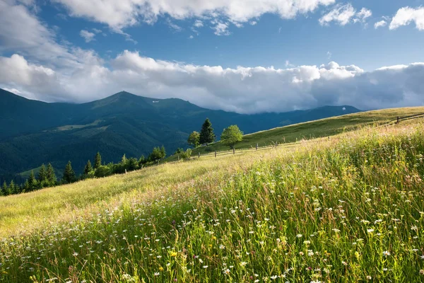 Valle Montagna Mattino Bellissimo Paesaggio Naturale Durante Estate Durante Alba — Foto Stock