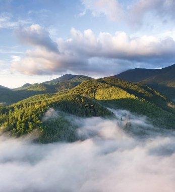 Sis ormanında hava manzaraya. Yaz saati itibariyle güzel doğal hava landcape