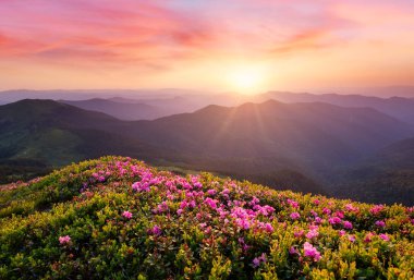 Dağlar çiçek blossom ve gündoğumu sırasında. Yaz saati itibariyle güzel doğal peyzaj