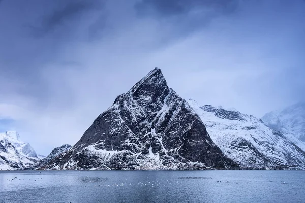 Höga Klippor Lofoten Öarna Bay Naturliga Seascape Norge — Stockfoto