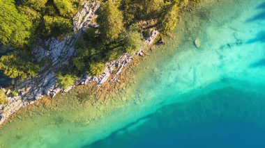 Havadan görünümü göl ve orman. İsviçre hava güzel doğal peyzaj