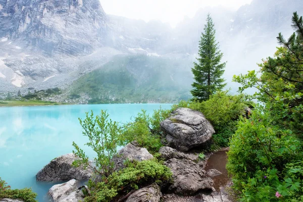 Forest Turquoise Lake Dolomites Apls Italy Sorapis Lake Italy Beautiful — Stock Photo, Image