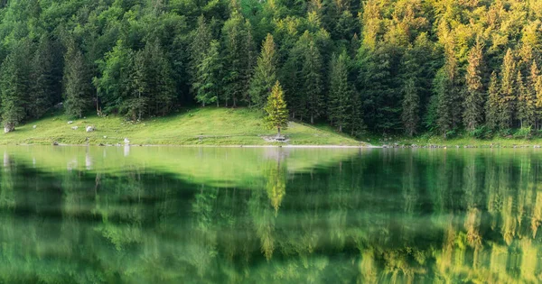 Sviçre Deki Orman Turkuaz Gölü Orman Yüzeyinde Yansıma Güzel Manzara — Stok fotoğraf