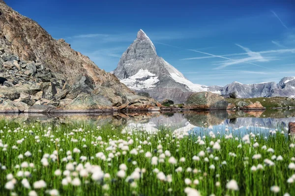 Matterhorn Und Gras Der Nähe Des Sees Morgen Wunderschöne Naturlandschaft — Stockfoto