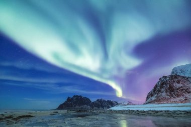 Aurora borealis Lofoten Adaları, Norveç. Dağlar yukarıda yeşil Kuzey ışıkları. Kutup ışıkları ile gece gökyüzü. Aurora ve su yüzeyinde yansıma ile gece kış manzarası. Norveç'te doğal arka plan
