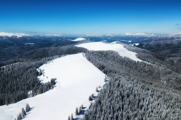 冬の森と山の空撮 背景として松の木 空気からの冬の風景 自然の森の背景 ドローンから森の背景 — ストック写真