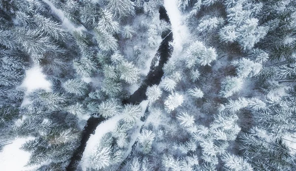 鸟图在冬天森林和河 来自空气的冬季景观 自然森林背景 来自无人机的森林背景 — 图库照片