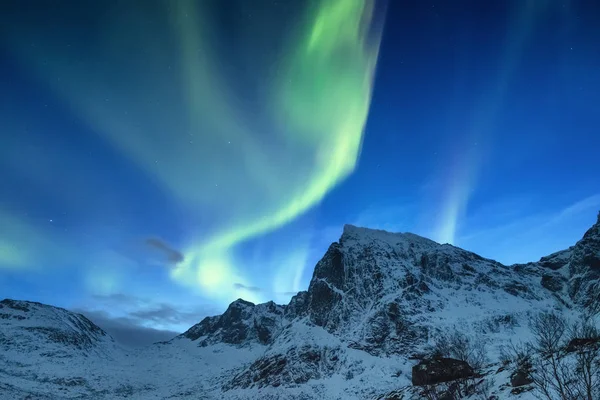 Aurora Borealis Лофотенских Островах Норвегия Зеленое Северное Сияние Над Горами — стоковое фото