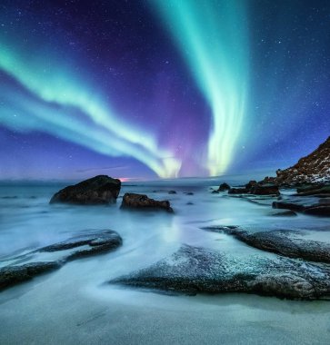 Aurora borealis Lofoten Adaları, Norveç. Okyanus kıyısında yukarıda yeşil Kuzey ışıkları. Kutup ışıkları ile gece gökyüzü. Aurora ve su yüzeyinde yansıma ile gece kış manzarası. Norveç'te doğal arka plan
