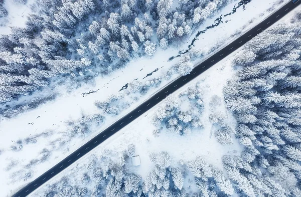 Vista Aérea Estrada Floresta Inverno Paisagem Natural Inverno Floresta Abaixo — Fotografia de Stock