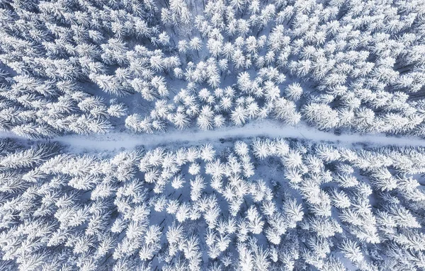Yolda Orman Kış Anda Havadan Görünümü Doğal Kış Manzara Dan — Stok fotoğraf