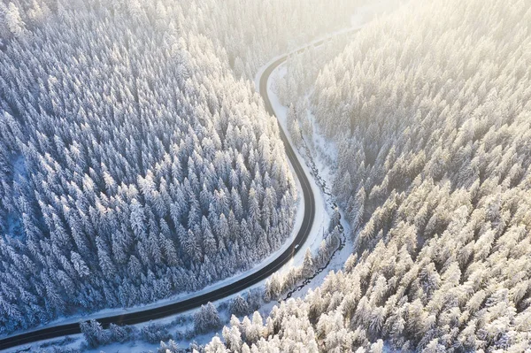 Vista Aérea Estrada Floresta Inverno Paisagem Natural Inverno Floresta Abaixo — Fotografia de Stock