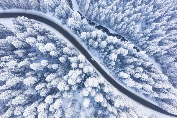 Aerial View Road Forest Winter Time Natural Winter Landscape Air — Stock Photo, Image